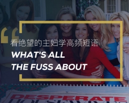 看绝望的主妇学高频短语：What’s all the fuss about