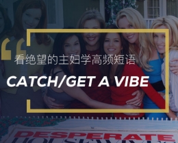 看绝望的主妇学高频短语：Catch/Get a Vibe