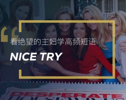 看绝望的主妇学英语习语：Nice try