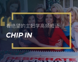 看绝望的主妇学高频短语: Chip in
