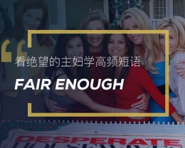 看绝望的主妇学高频短语：Fair enough