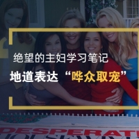 一个英语单词地道表达：哗众取宠