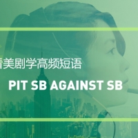 看美剧学高频短语：Pit sb against someone